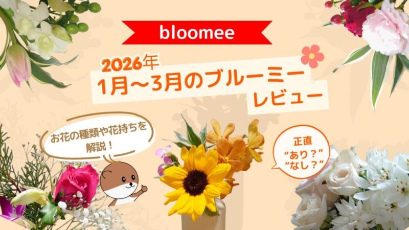 ブルーミーお花の定期便あり？なし？【2026年3ヶ月の最新レビュー】 