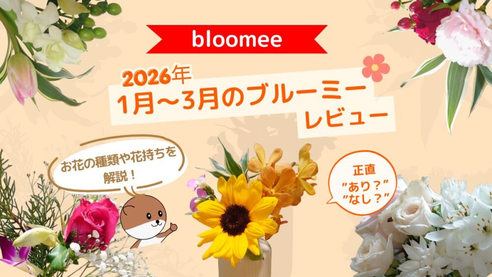 loomee-202601-03-review