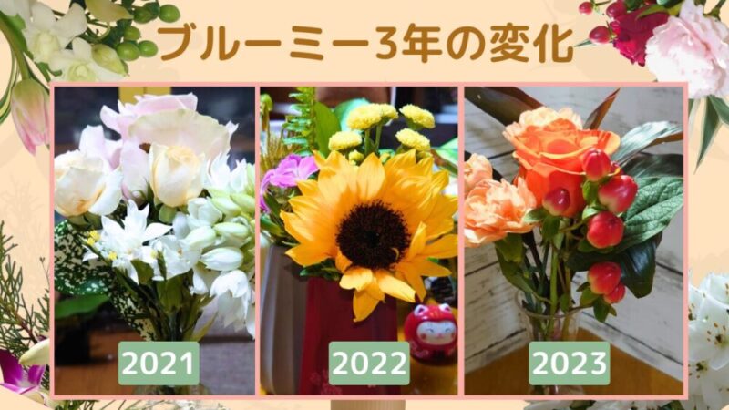 3年間の変化！ブルーミー【届くお花の昔と今】(bloomee)お花の定期便 