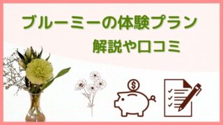 【ブルーミー体験プラン】解説！料金や口コミ、他プラン・他社比較 