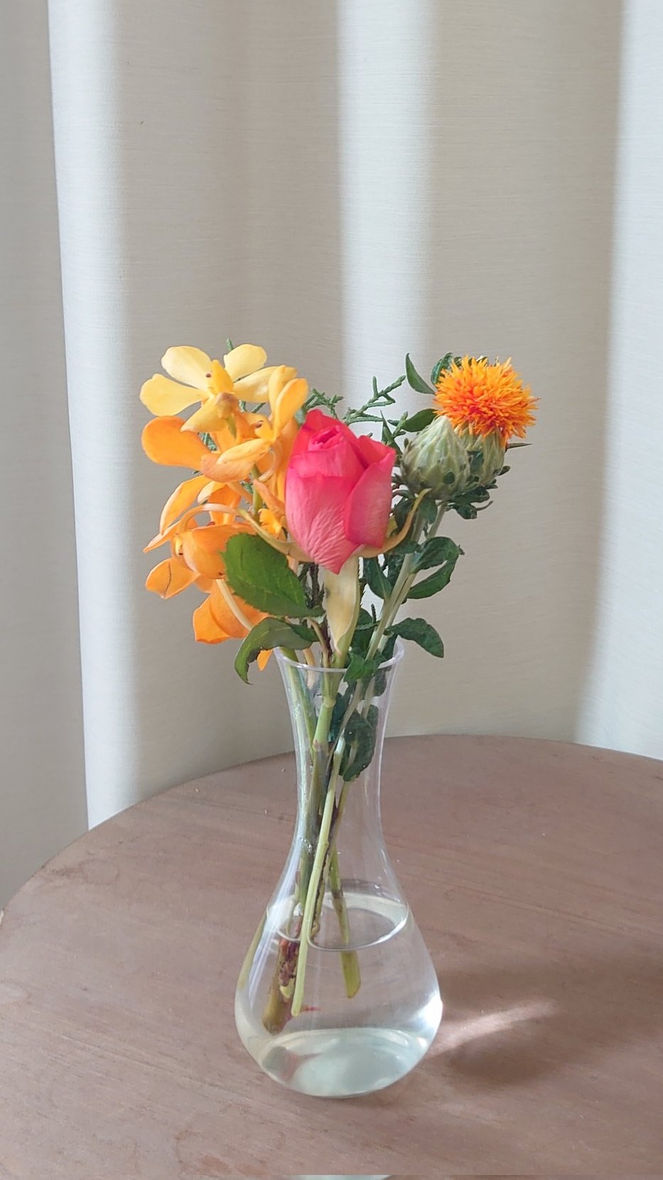 bloomee-flower-20250424
