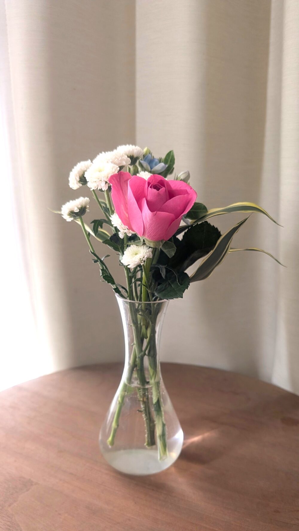 bloomee-flower-20260212b-2