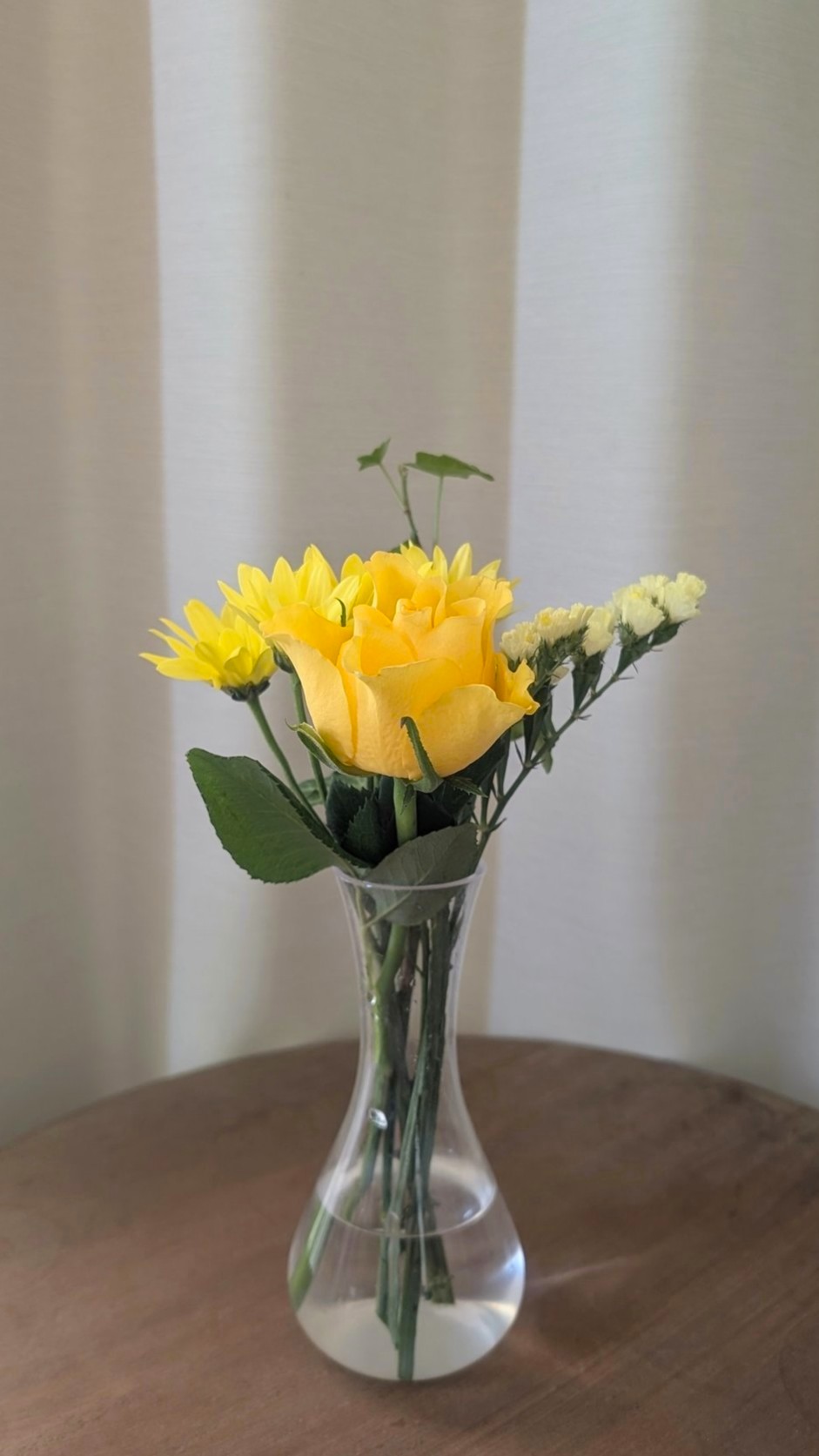 bloomee-flower-20260312c