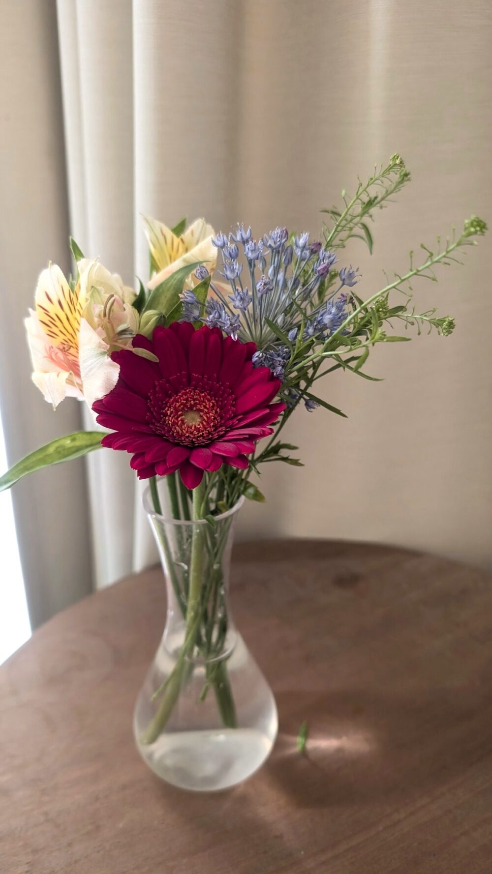 bloomee-flower-20260409a-2.