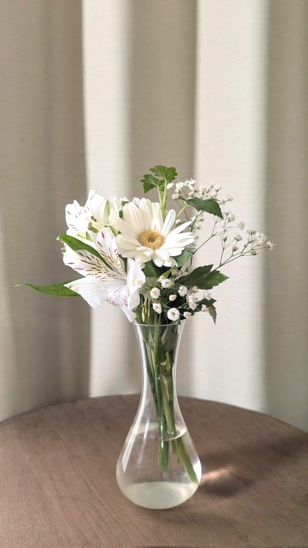 bloomee-flower-20260521b