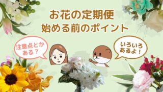 お花の定期便を始める前に！知っておきたい7つのポイント 