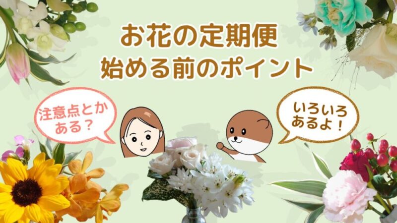 お花の定期便を始める前に!知っておきたい7つのポイント