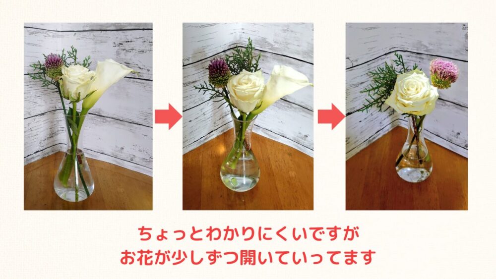 ブルーミーのお花が咲いていく様子