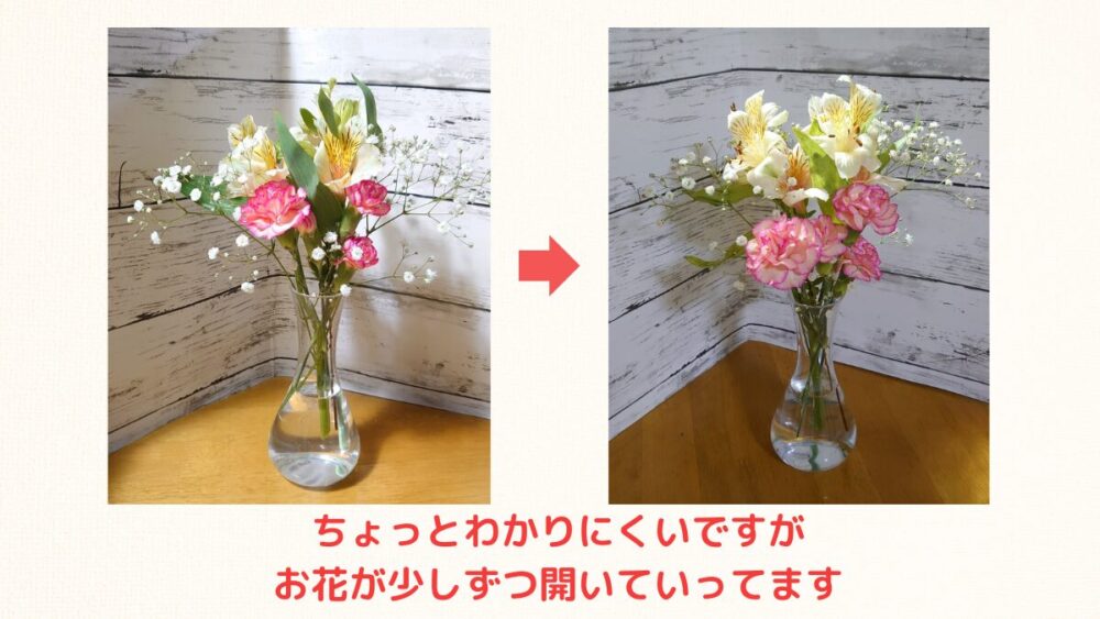 ブルーミーのお花が咲いていく様子