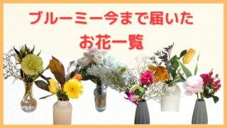 【ブルーミー(bloomee)お試しプラン】今まで届いたお花の写真（旧レギュラープラン） 