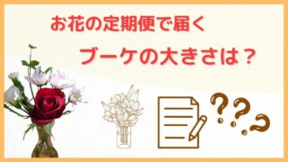 【実物で比較】ブルーミーお花の定期便（サブスク）のお花の大きさ（ブーケのサイズ感） 