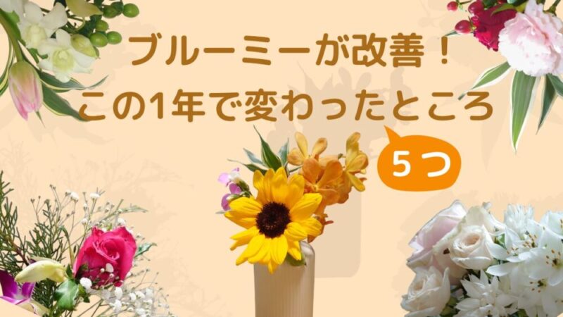 【bloomeeが改善！】この1年で良くなった？変更点5つと感想(ブルーミー)(2024年) 