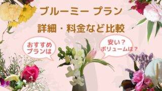 【ブルーミーのプラン解説】料金やお花の数は？ポイントや比較表！お花のギフトなども(bloomee概要)