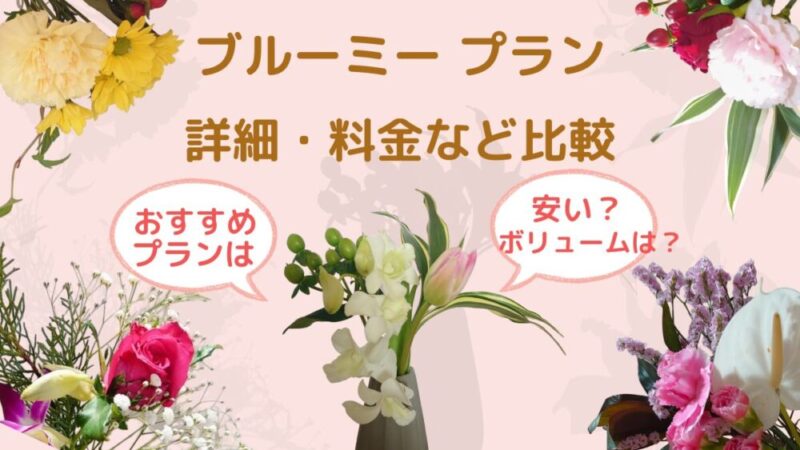 【ブルーミーのプラン解説】料金やお花の数は？ポイントや比較表！お花のギフトなども(bloomee概要) 