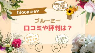 ブルーミー(bloomee)【良い口コミ・悪い口コミ】と比較・実際に利用した感想 