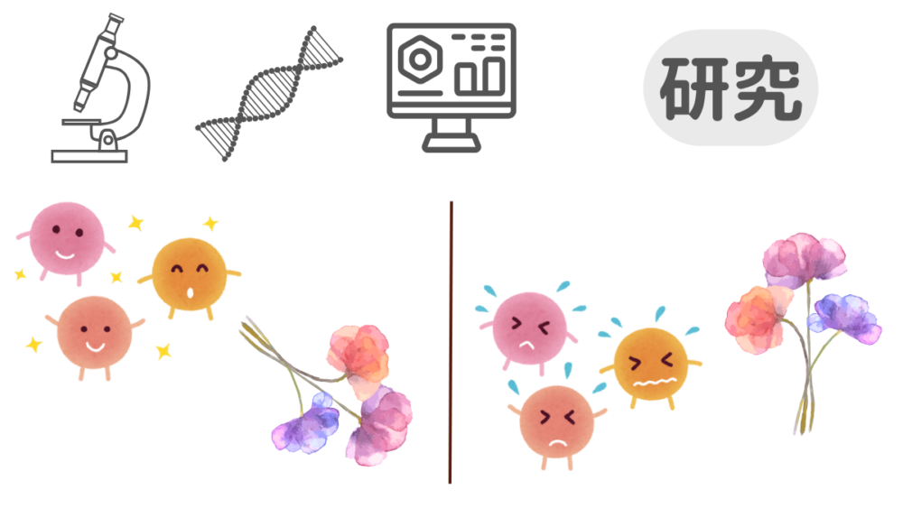 ブルーミーカビ菌抑制の研究