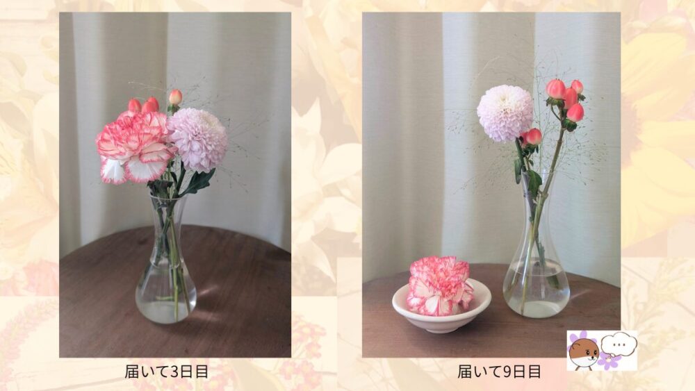 ブルーミーのお花レビュー20260423（9日目）