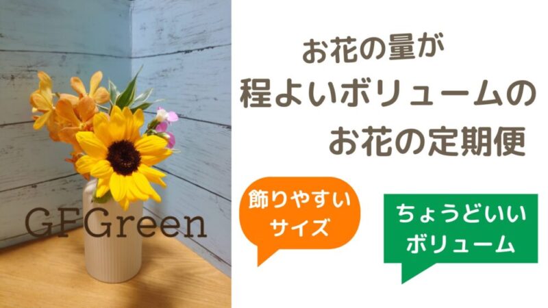 ほどよいサイズで飾れるオススメお花の定期便（サブスク）｜ちょうど良いボリューム 