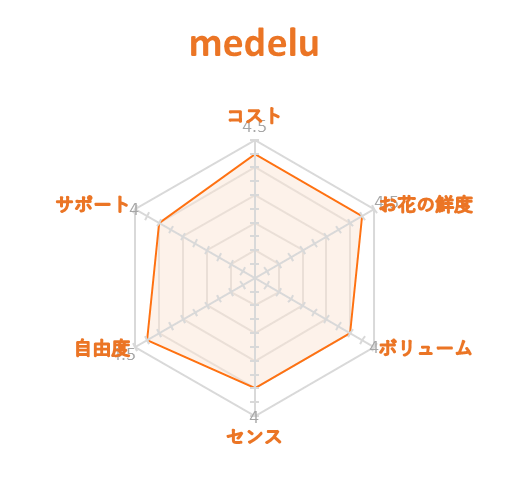 メデル　各項目レーダーチャート