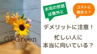 お花の定期便は忙しい人向き？【意外なデメリットに注意】 