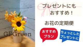 ちょっとしたプレゼントやギフトにオススメ！お花の定期便（お花のサブスク）3選