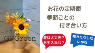 【夏は厳しい！】季節ごとのお花の定期便との付き合い方（神奈川県南部） 