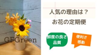 お花の定期便（お花のサブスク）はなぜ人気？メリットとその理由5選 