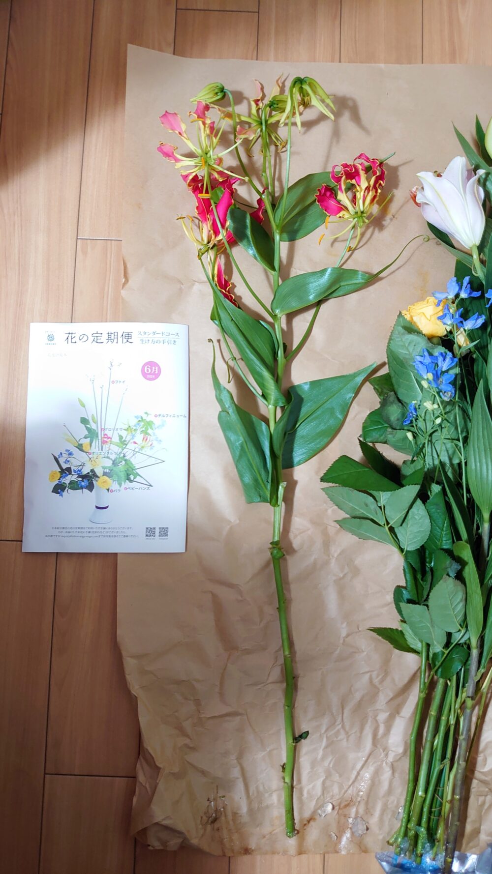 日本総合園芸「花の定期便」スタンダードコース届いたお花”グロリオサ”