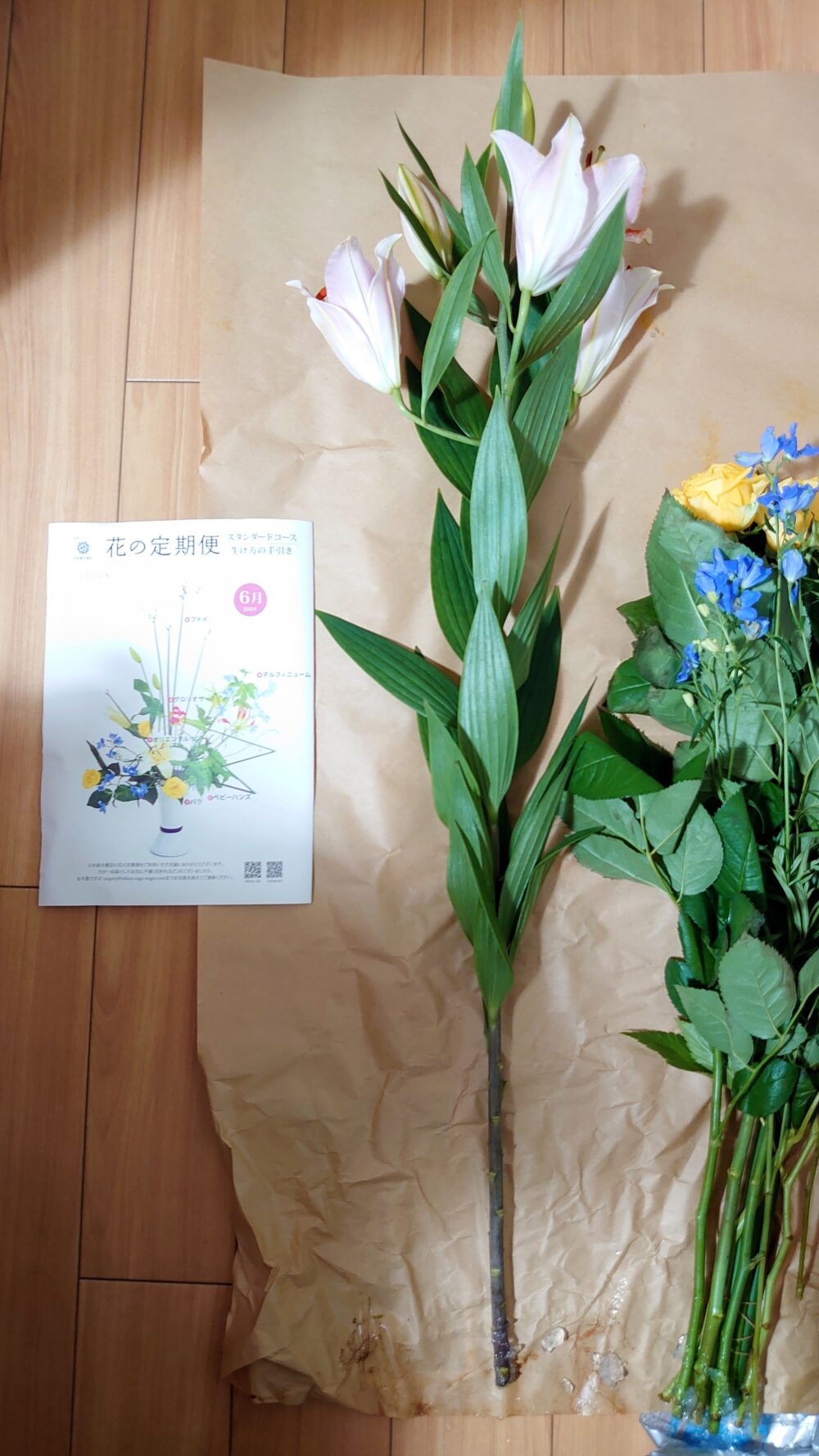 日本総合園芸「花の定期便」スタンダードコース届いたお花”オリエンタルリリー”