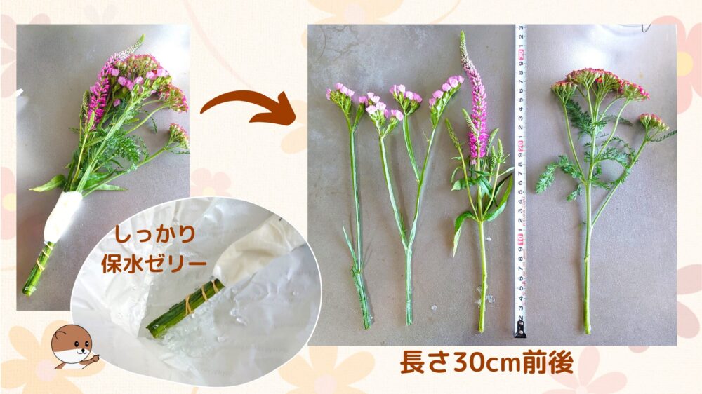 青山フラワーマーケットのお花の定期便「旬の花定期便シンプルスタイル」のお花達