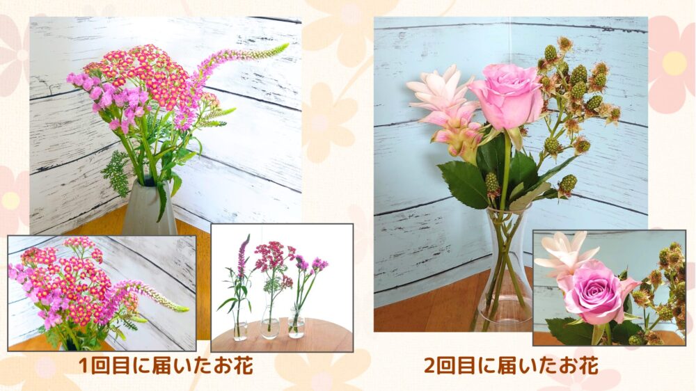 青山フラワーマーケットお花の定期便「シンプルスタイル」1回目と2回目に届いたお花