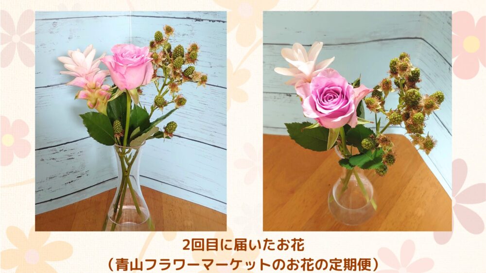 青山フラワーマーケットお花の定期便「シンプルスタイル」2回目に届いたお花