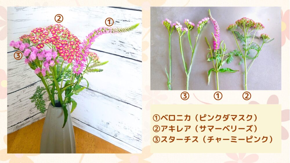 青山フラワーマーケットのお花の定期便「旬の花定期便シンプルスタイル」で届いたお花