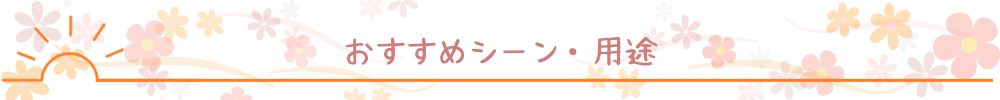 オススメのシーン・用途