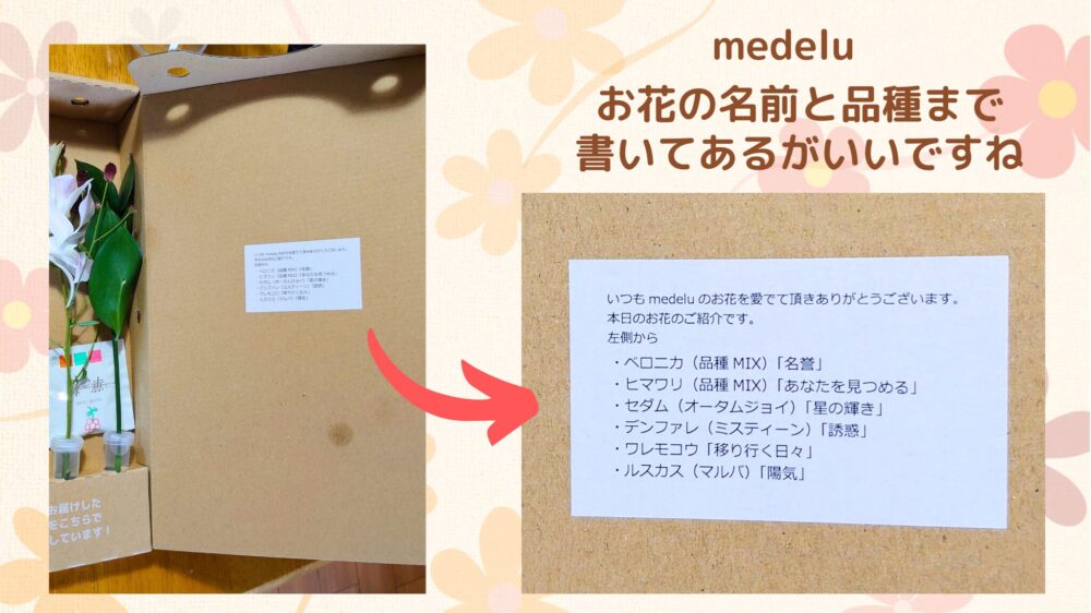 medeluお花の名前と品種