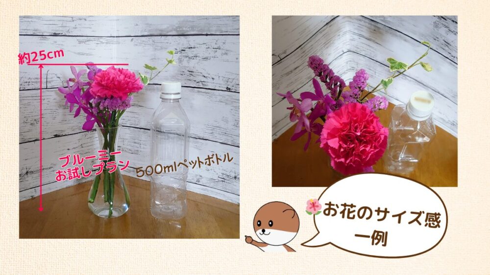 ブルーミーのお花の大きさボリューム感一例